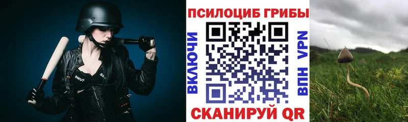 купить закладку  Тейково  Галлюциногенные грибы MAGIC MUSHROOMS 